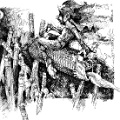 Don Art_screenview_1500dpi (148)_sm
